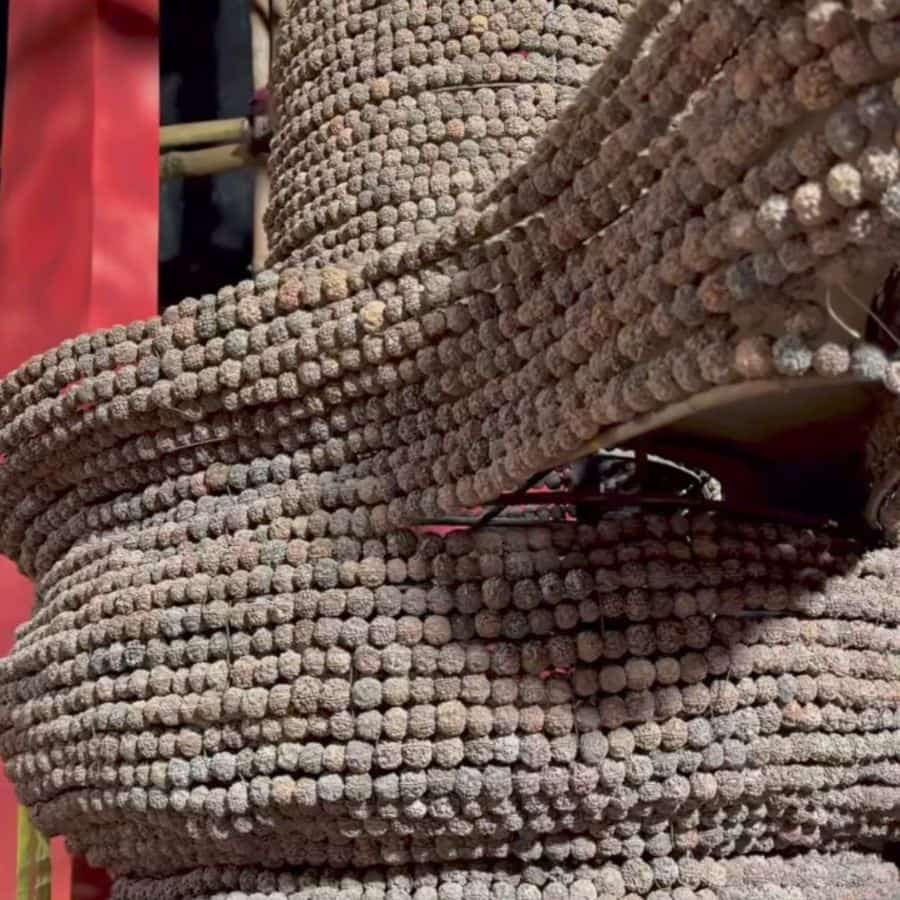 এই থিমের আড়ালে লুকিয়ে আছে বাংলা ও বাঙালির কিছু নীরব প্রতিবাদের ভাষা, যা শিল্পীর তুলিতে মণ্ডপে প্রাণ পাচ্ছে।