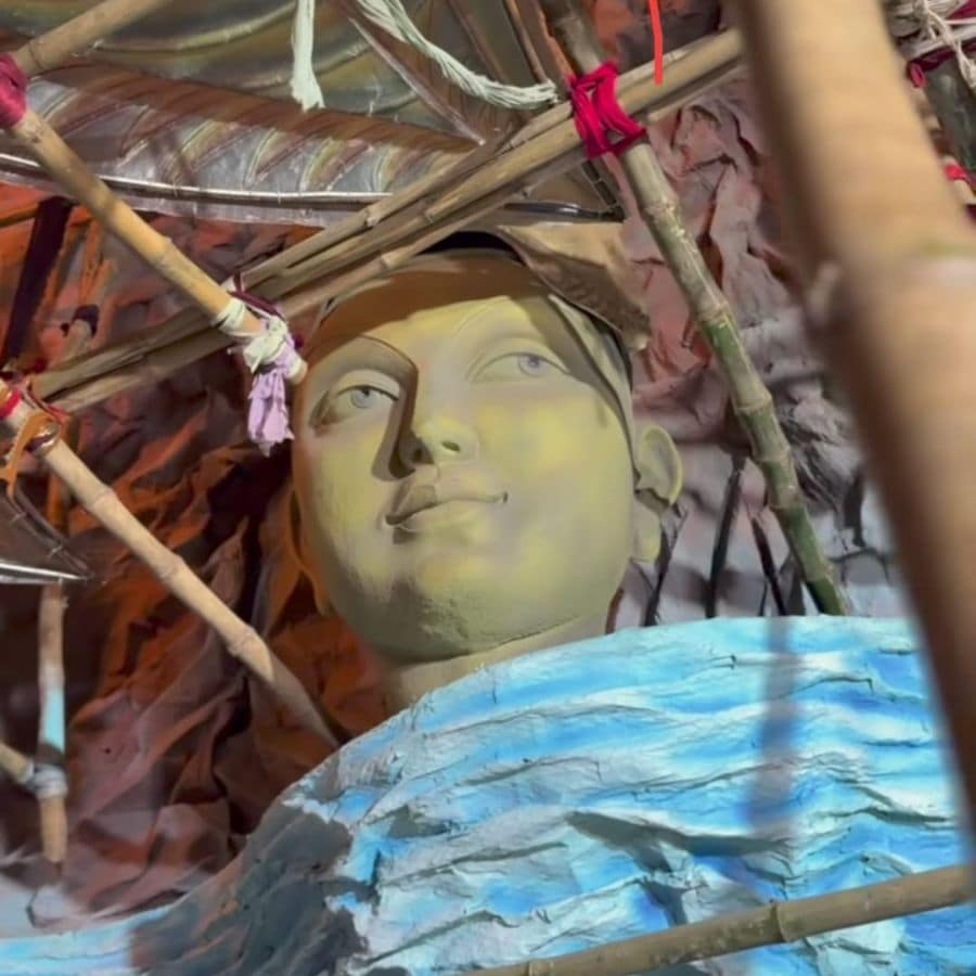 অগ্রণীর পুজো মানেই জনসমুদ্র। গত বছর পুলিশি হিসাবে দর্শকসংখ্যা ছিল এক কোটির বেশি। 