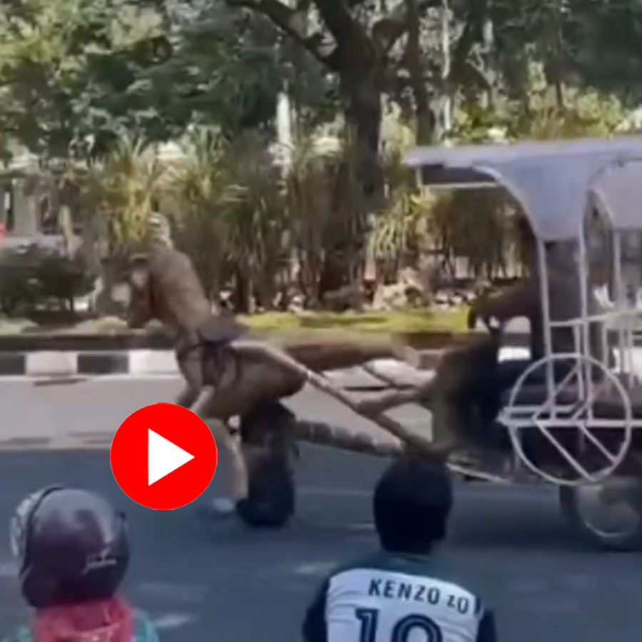 Video shows man turned e-Rickshaw into a dinosaur themed vehicle
