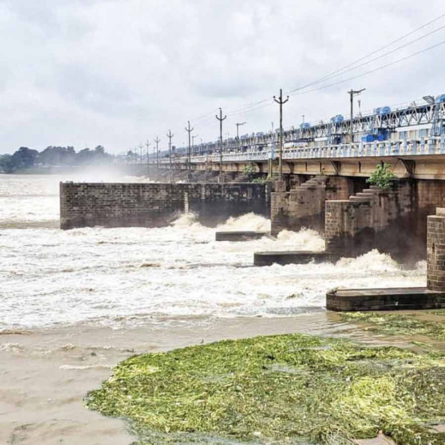 DVC started releasing a total of 41,000 cusecs of water from the two reservoirs on Thursday dgtld