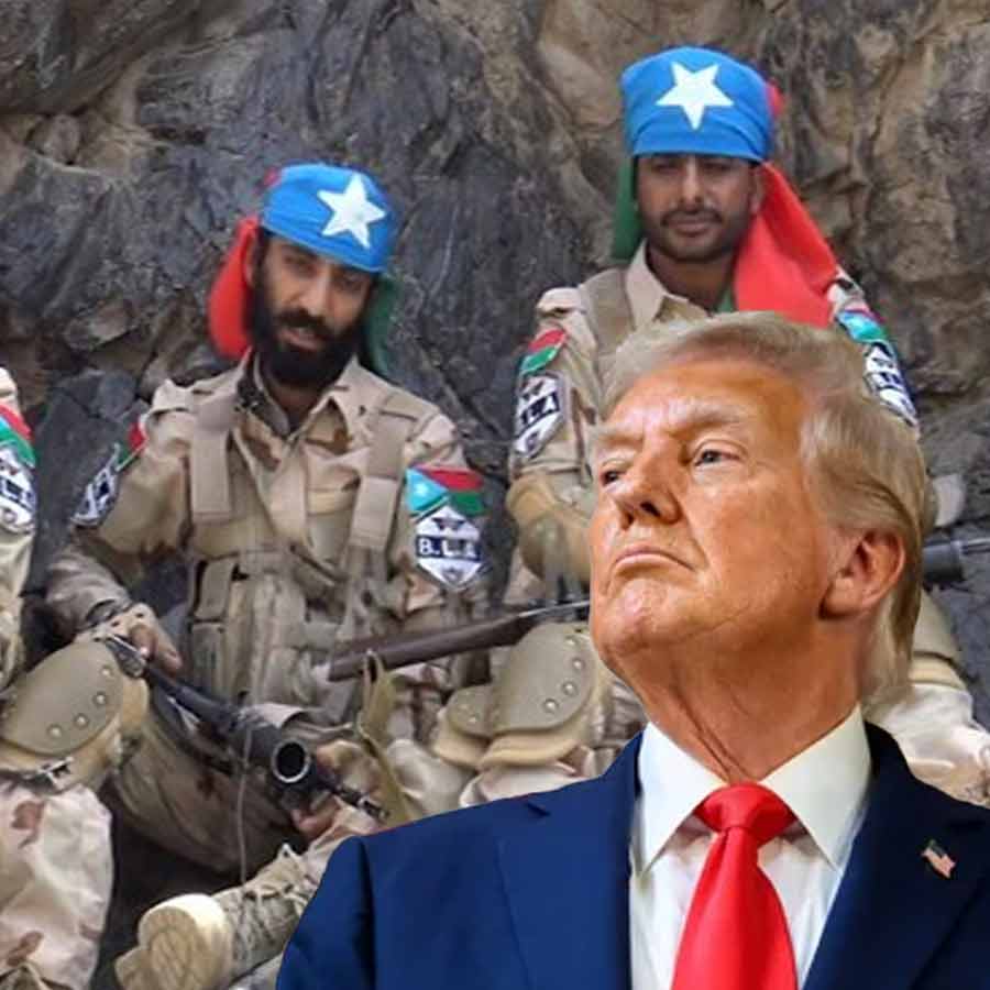 US blocks Pak-China bid to sanction Baloch Liberation Army at United Nations dgtl