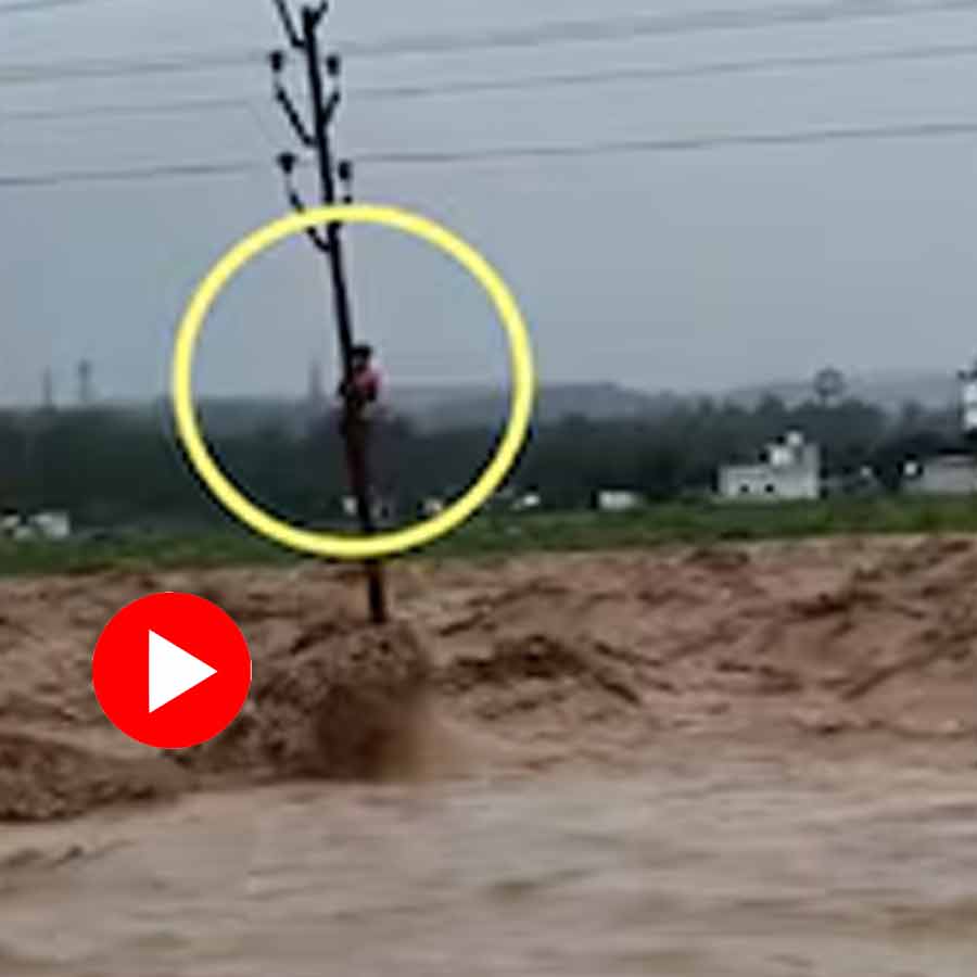Video shows man from Uttarakhand climbs electric pole as water level of River rise