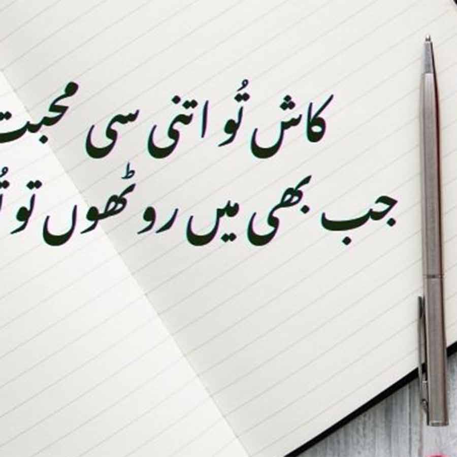 Urdu is the language of many people in the Indian subcontinent