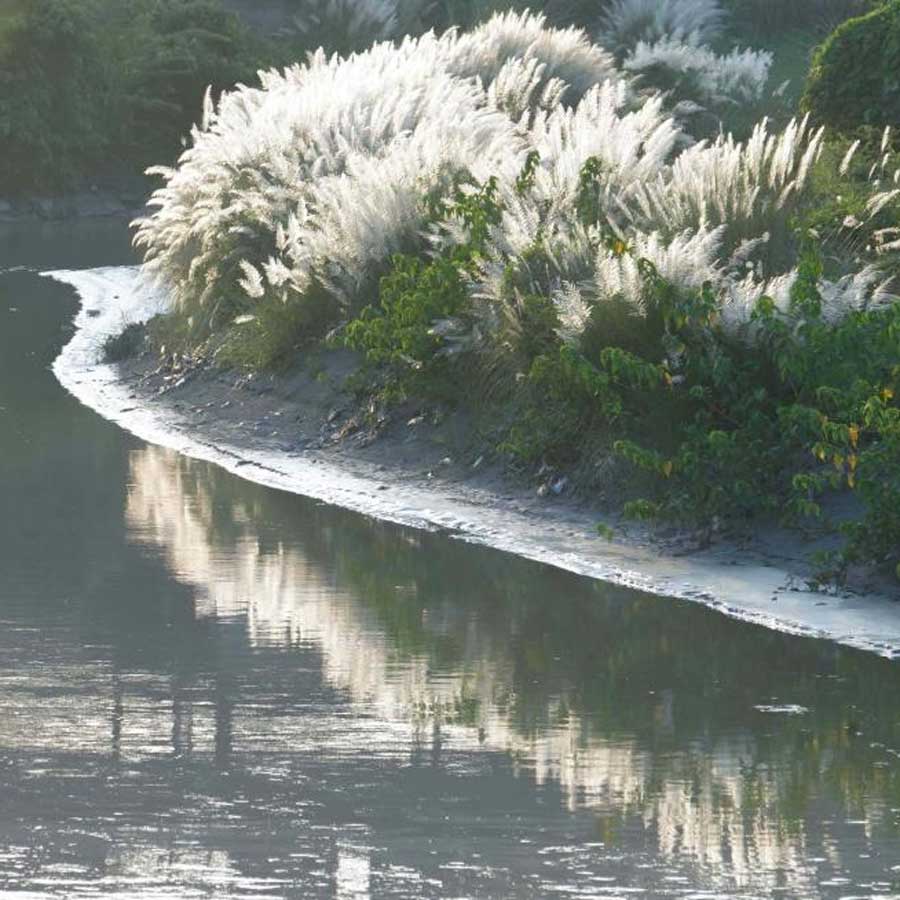 Rahul Arunoday Banerjee said every year, the Morning of Mahalaya brings fresh air and it will never change with time