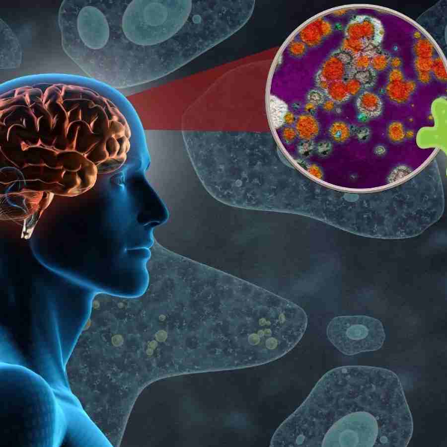 Concern rises after a person from Serampore infected with Brain-Eating Amoeba Case