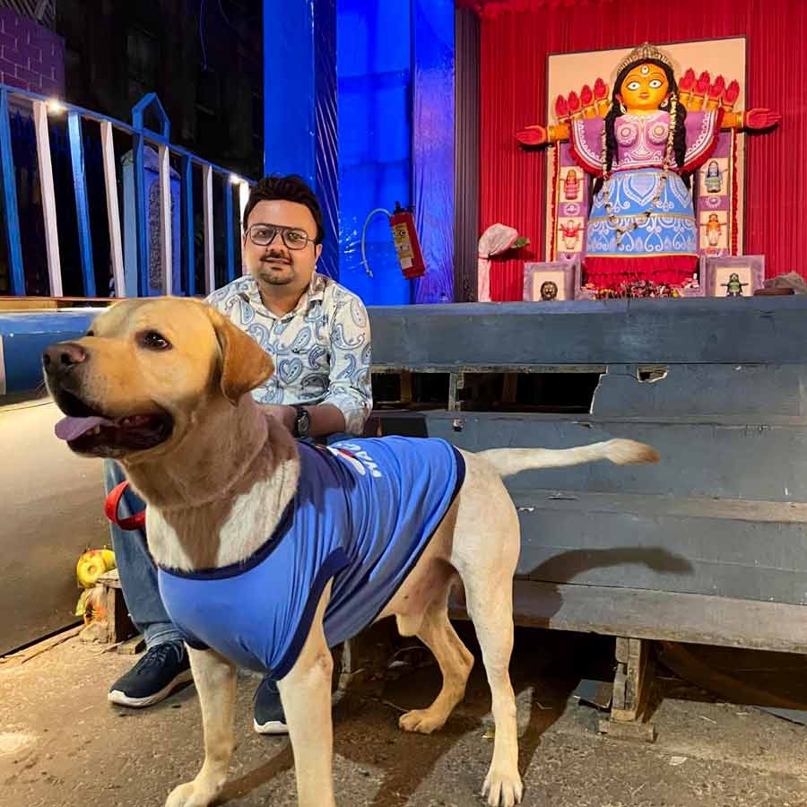 Pandal hopping during two puja committee in Kolkata with pets in possible now dgtl