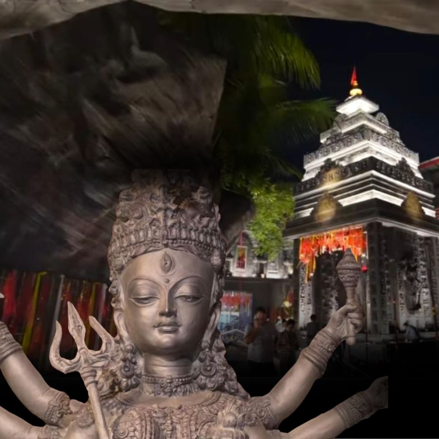 সংগৃহীত চিত্র।