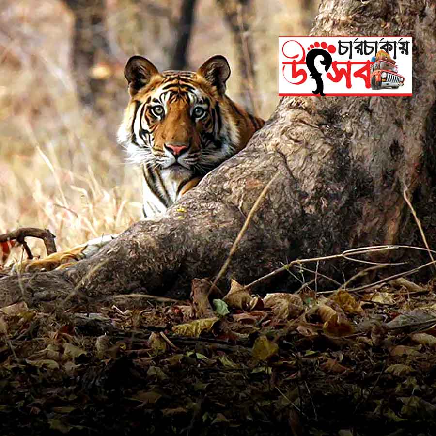 Explore Beneras, kalinjhar fort and Madhypradesh by road trip dgtl