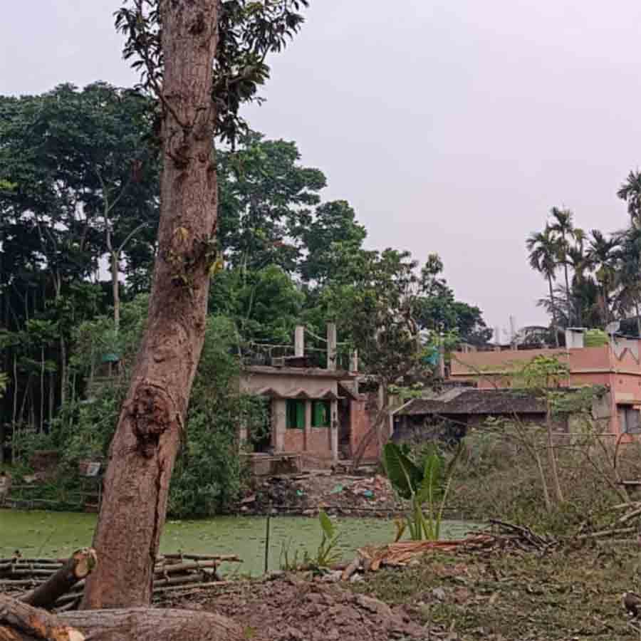 Complain of illegal tree cutting and filling pond at Dattapukur