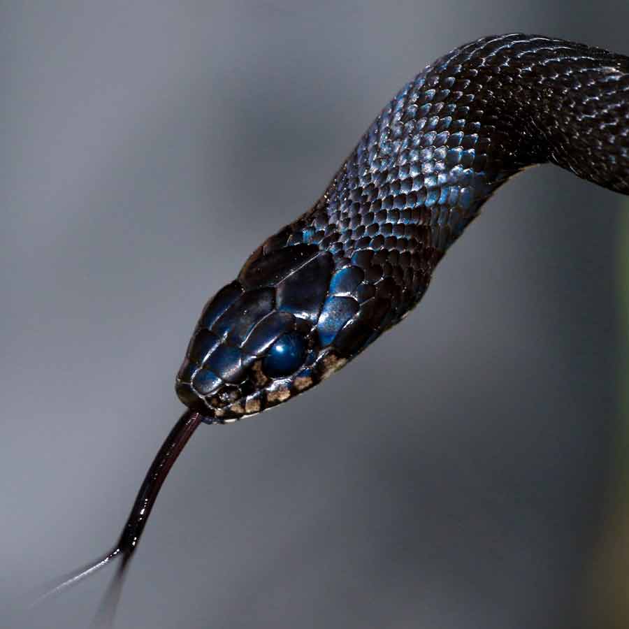 Woman locked in room by in-laws over dowry dispute dgtl