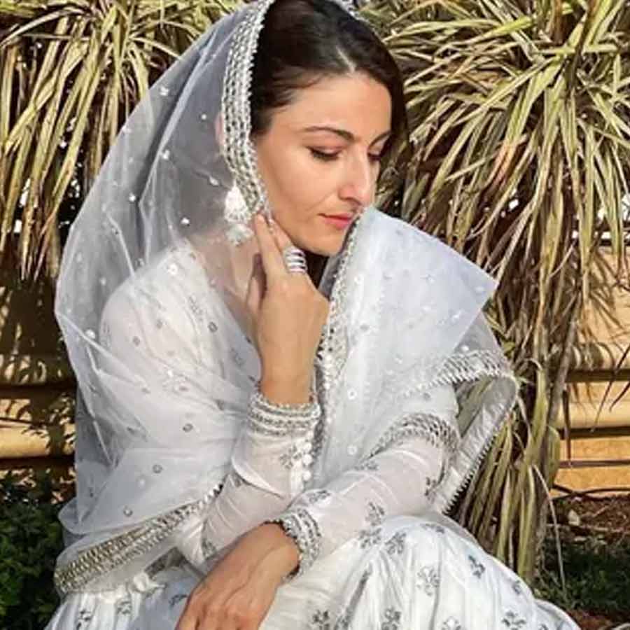 Soha Ali Khan reveals why Rang De Basanti cast returned their fees amid doubts about film’s success dgtl