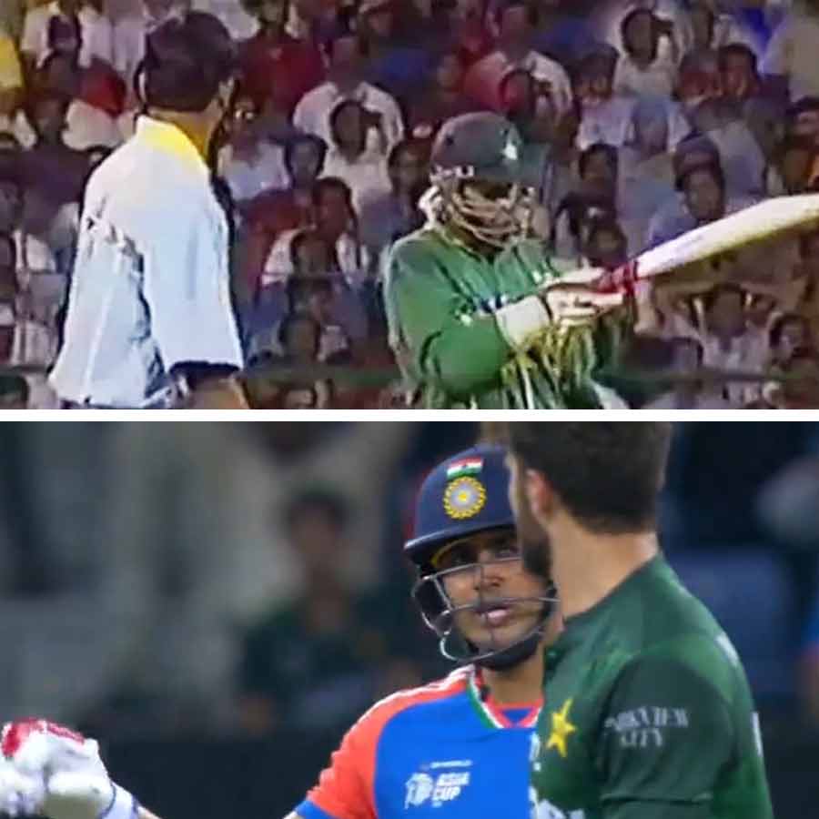 cricket