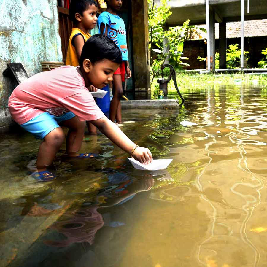 Waterlogging fuels infection risks, Doctors warn of Leptospirosis threat dgtl