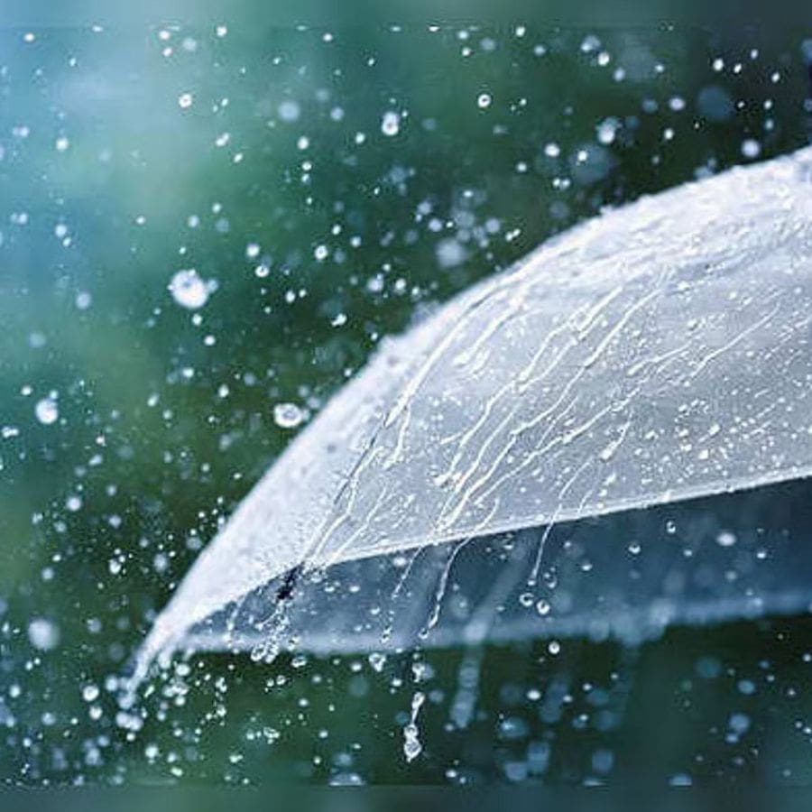 পুজোয় নেহাত বাধ্য হয়ে যদি ঘরে থাকতে হয় তা হলে কী করবেন বা করতে পারেন সময় কাটানোর জন্য চলুন জেনে নেওয়া যাক। 