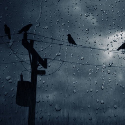 বর্তমান সময় বেশ কয়েক দিন আগে থেকেই আবহাওয়ার পূর্বাভাস পাওয়া যায়। সেই অনুযায়ী পরিকল্পনা সাজান। 