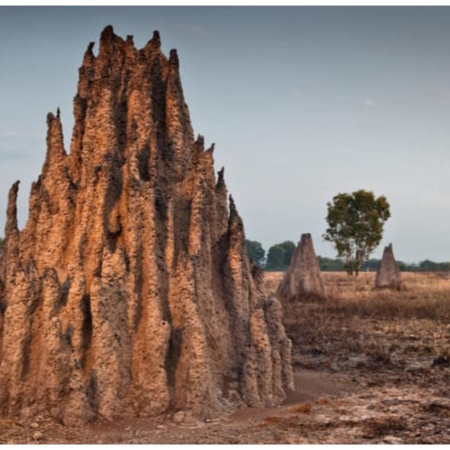 প্রতীকী চিত্র