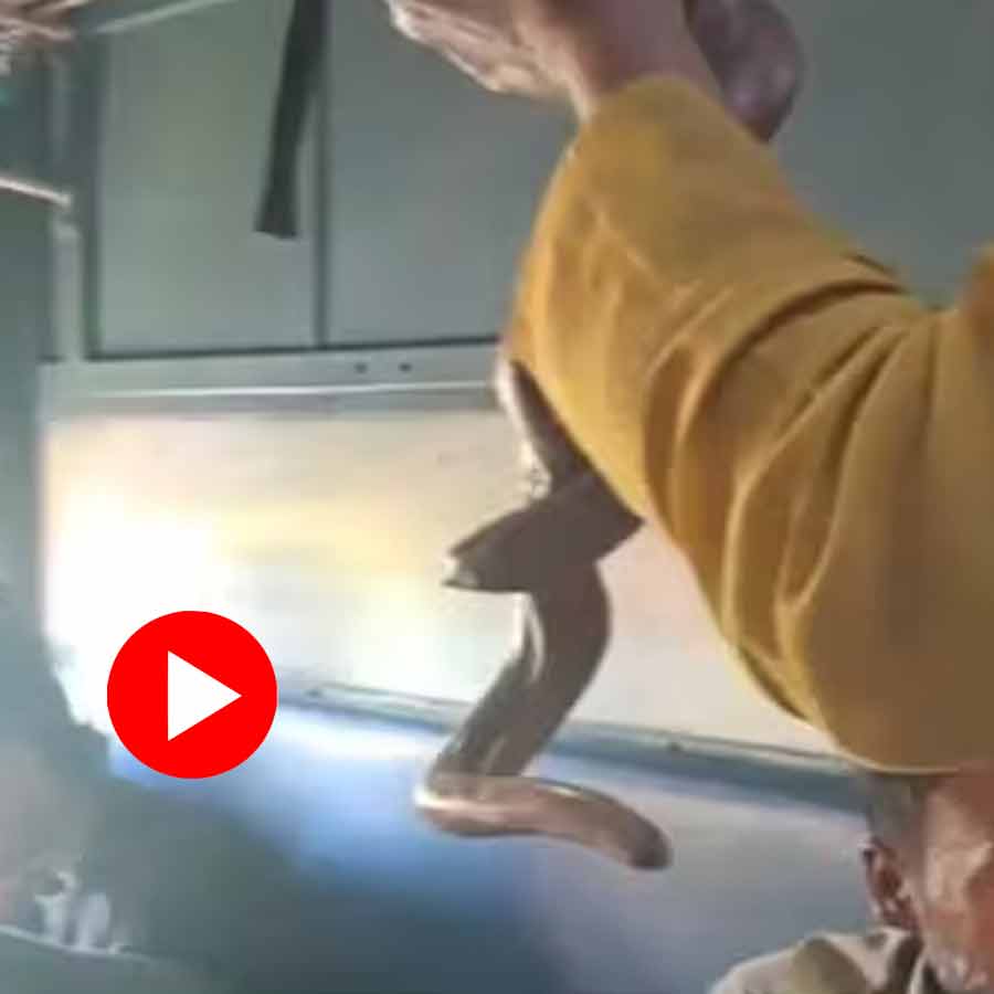 A video of a man allegedly boarded the train carrying a live snake in his hands and ask for money dgtl