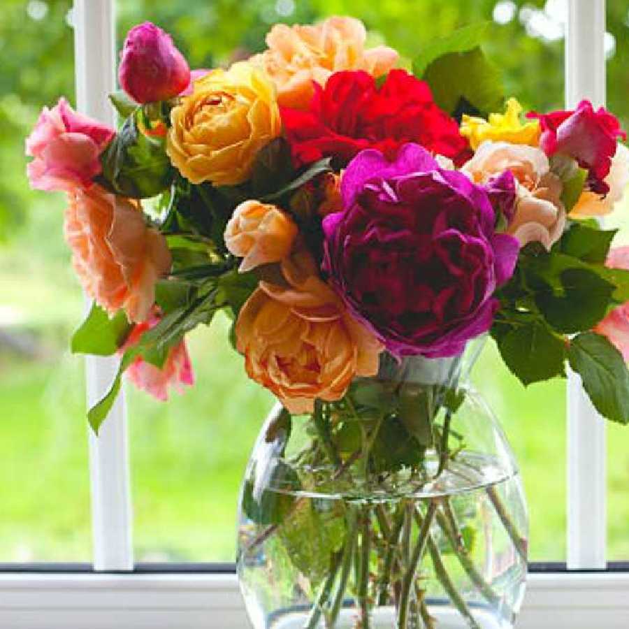 ফুল দীর্ঘ দিন তাজা রাখবেন কী করে?