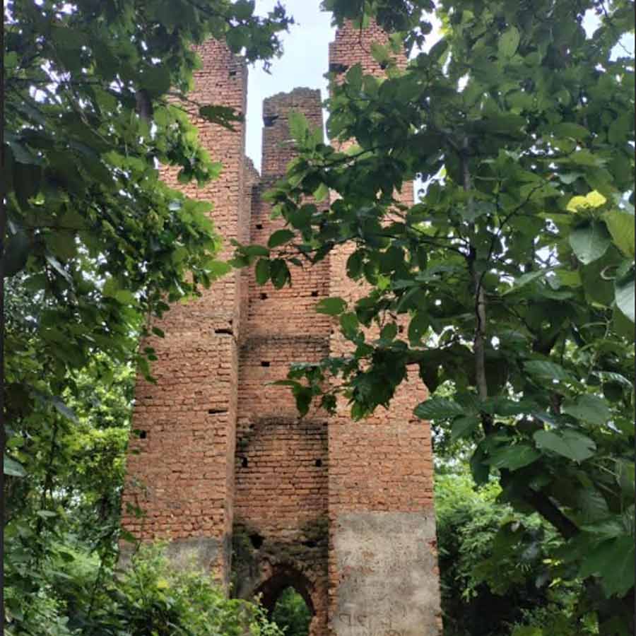 ছবি: সংগৃহীত।