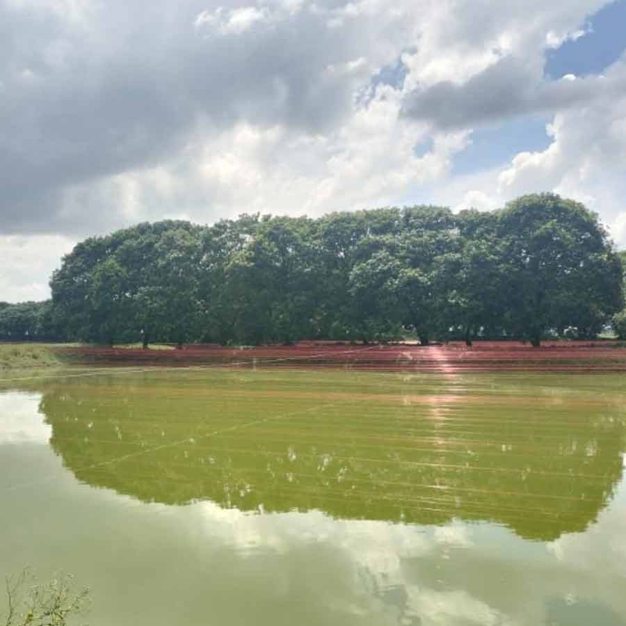 ছবি: সংগৃহীত।