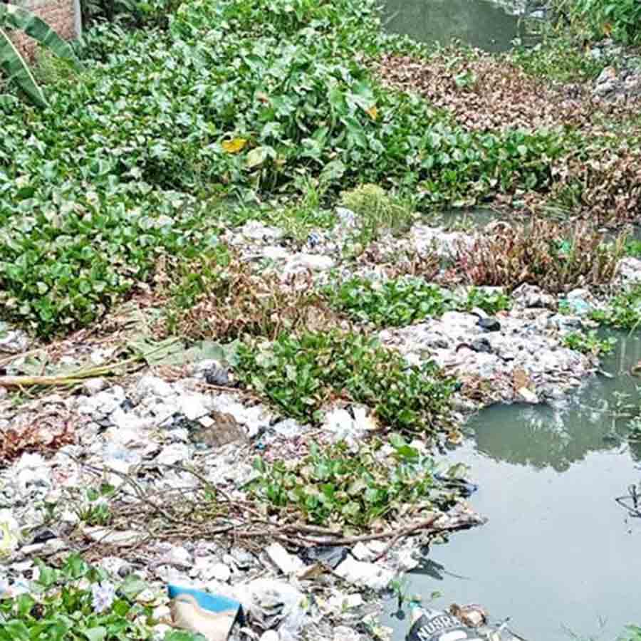 Garbages has filled a canal at Bhangar