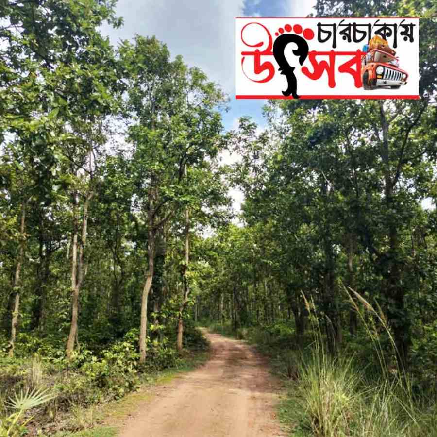 Enjoy day trip from Kolkata to Bhalki Machan by car dgtl