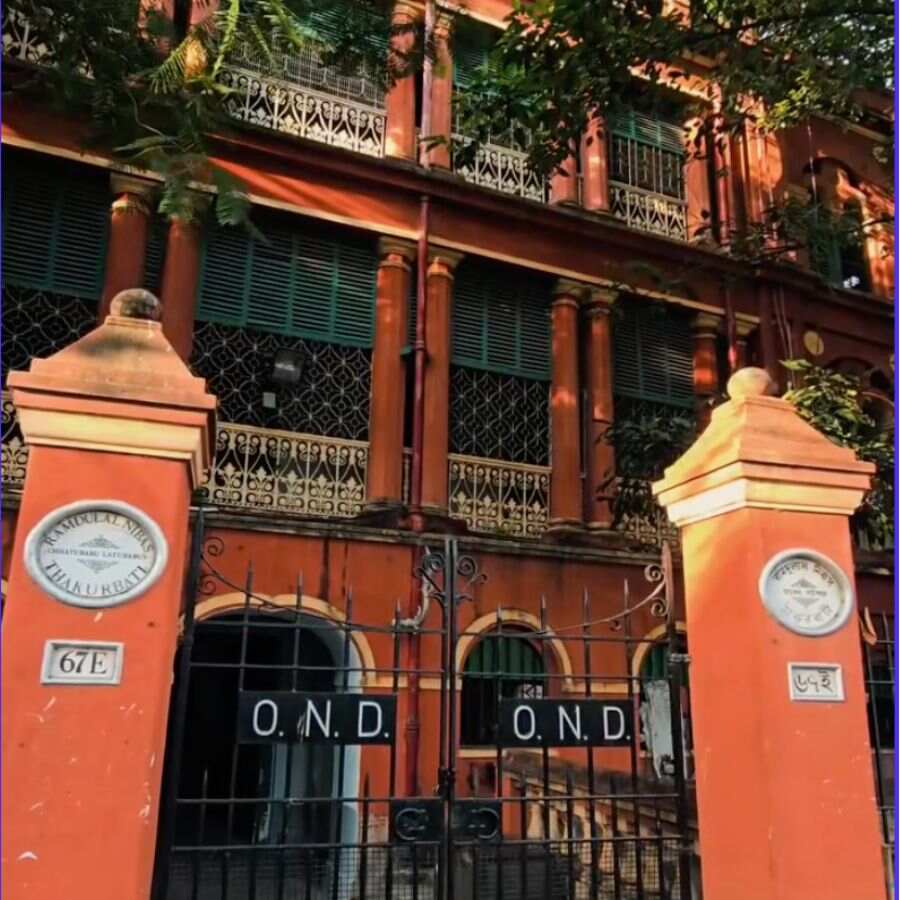 বিসর্জনের আগে নীলকণ্ঠ পাখি উড়িয়ে দেওয়ার রীতি এক সময়ে ছিল এখানকার বিশেষ আকর্ষণ। এ ছাড়া নববর্ষে হয় চড়ক পুজো, যাকে ঘিরে জমে ওঠে বিডন স্ট্রিটের চড়ক মেলা।