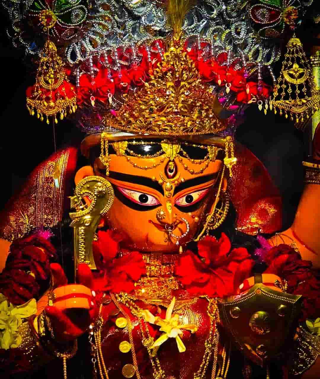 নানা অলঙ্কারে ভূষিত এই দেবীর রূপ নজর কাড়তে বাধ্য। সোনা, রুপো- সমস্ত ধরনের অলঙ্কার দেখা যায় দেবীর পরনে।