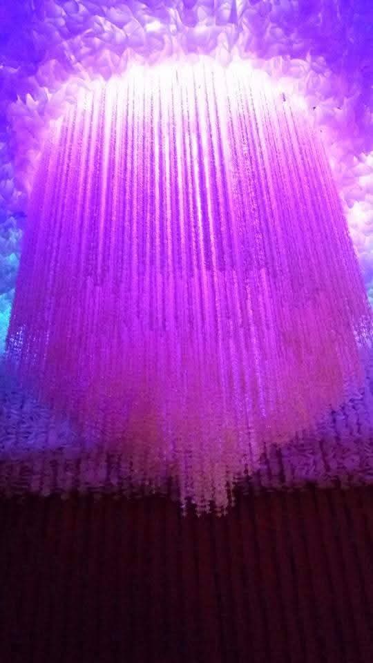 কিন্তু, এর পরই দেবীর স্বপ্নাদেশ পান তিনি। 'বুড়িমা' তাঁকে নির্দেশ দেন, বাড়ির কলাগাছ কেটে তার থোড় নৈবেদ্য হিসাবে অর্পণ করতে এবং পুজো অব্যাহত রাখতে। সেই থেকে আজও এই পুজোয় কাঁচা থোড়ের নৈবেদ্য দেওয়া হয়। 