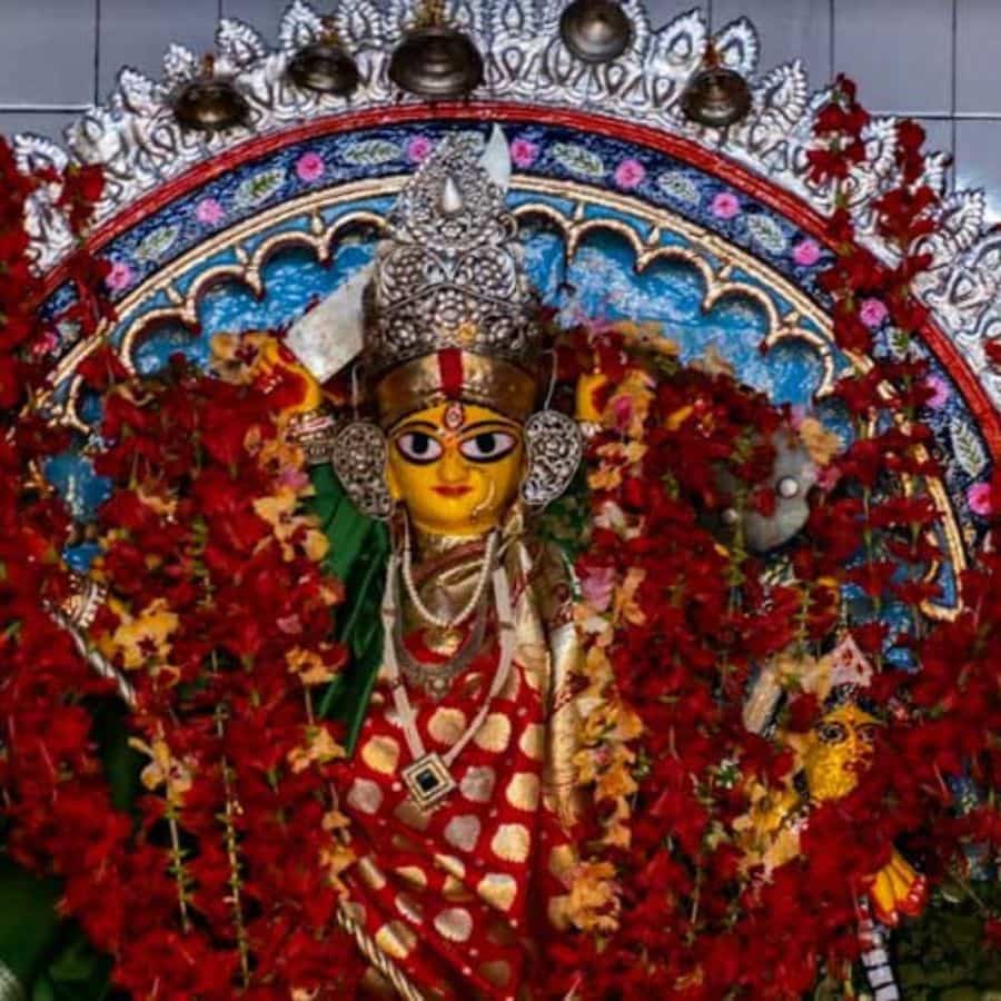 সংগৃহীত চিত্র।