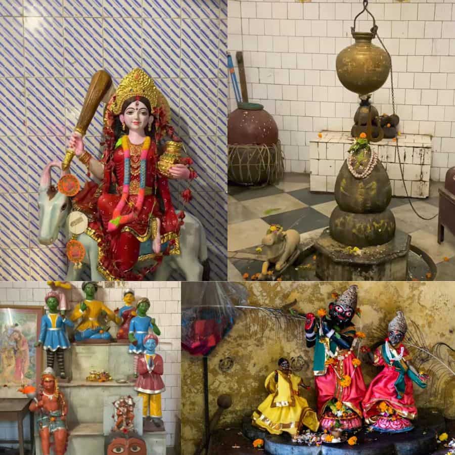 ১০। মন্দিরের চার পাশে শিব, হনুমান, মা শীতলা, জগন্নাথ-সুবদ্রা-বলরাম, এমনকী লোকনাথ বাবার আসনও আছে। এক কোণে শতাব্দী প্রাচীন নিমগাছ আর অব্যবহৃত শ্মশান পড়ে রয়েছে ইতিহাসের সাক্ষী হয়ে, শোনা যায় সেখানে এক কালে তন্ত্রসাধনা চলত।