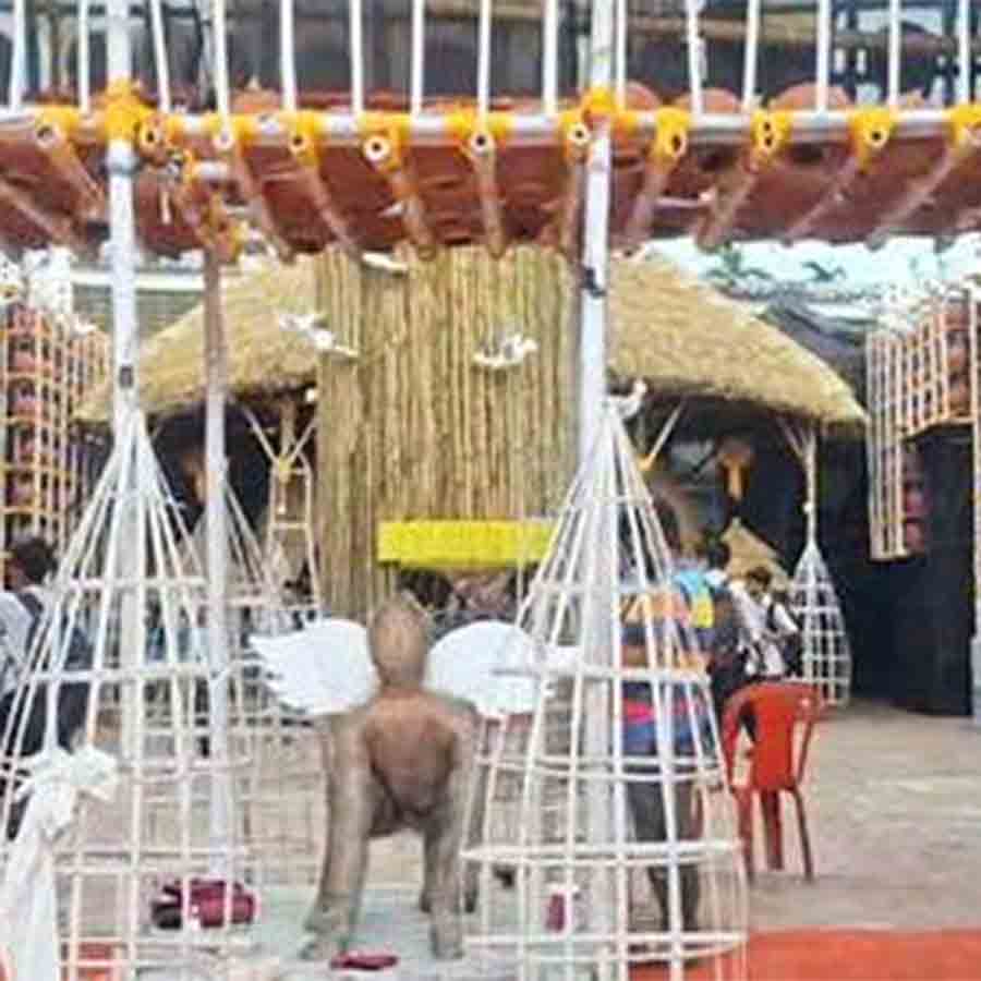 Theme of A Durga Puja Committe of Santipur is freedom