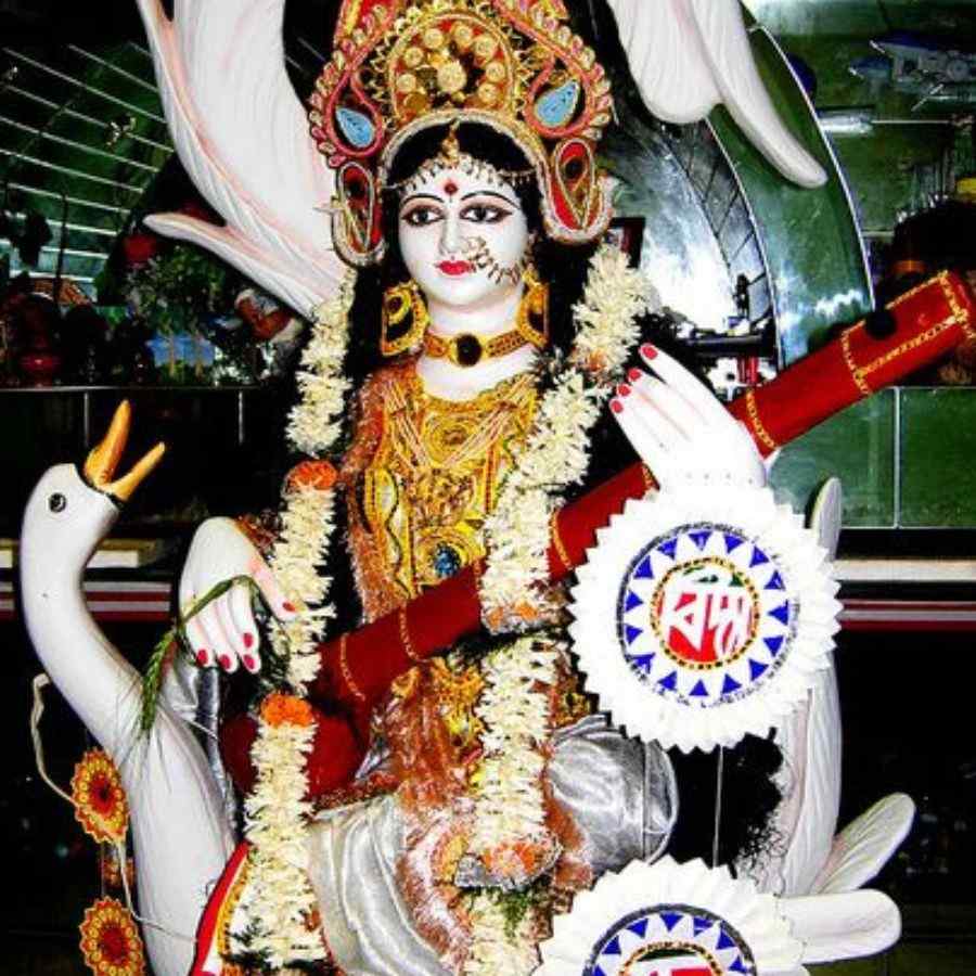 Why and how white swan became the companion of Goddess Saraswati dgtl