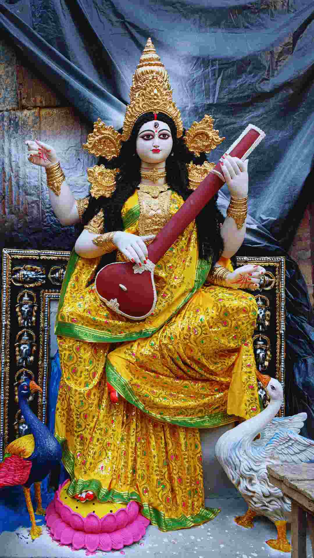 দেবী সরস্বতী ও তাঁর বাহন: দেবী সরস্বতী, বিদ্যার অধিষ্ঠাত্রী। তাঁর চার হাতের মধ্যে তিনটি হাত ধারণ করে বীণা, পুস্তক, জপমালা। আর তাঁর চরণতলে সদা উপস্থিত থাকে শুভ্র বর্ণের হংস বা রাজহাঁস। কেন এই রাজহাঁস দেবীর বাহন? উত্তর লুকিয়ে আছে এর বিশেষ গুণাবলীর মধ্যে।