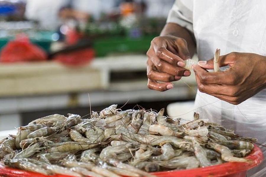 Indian shrimp exporters are increasingly shifting focus to China