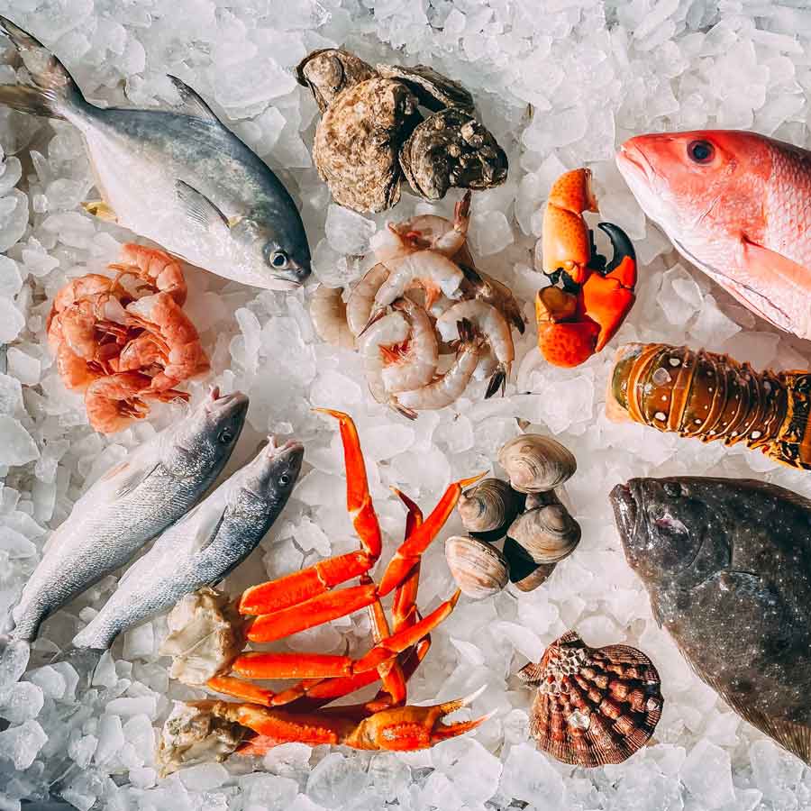 Indian shrimp exporters are increasingly shifting focus to China