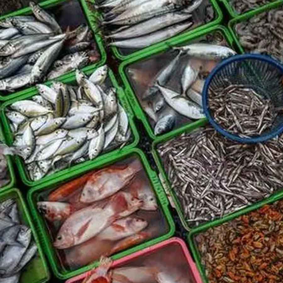 Indian shrimp exporters are increasingly shifting focus to China