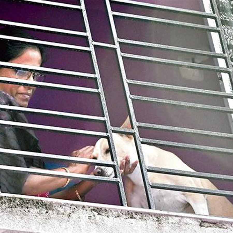 Report on how a sonless mother spends puja time