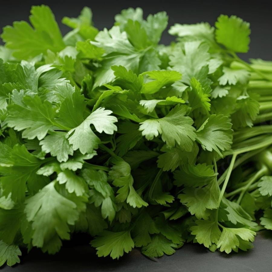 খিচুড়ি হয়ে এলে তাতে উপর দিয়ে ছড়িয়ে দিন ধনেপাতা কুচি এবং গরম মশলা। ব্যস, তার পরে নামিয়ে নিলেই হল। 