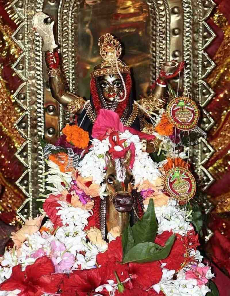 সংগৃহীত ছবি।