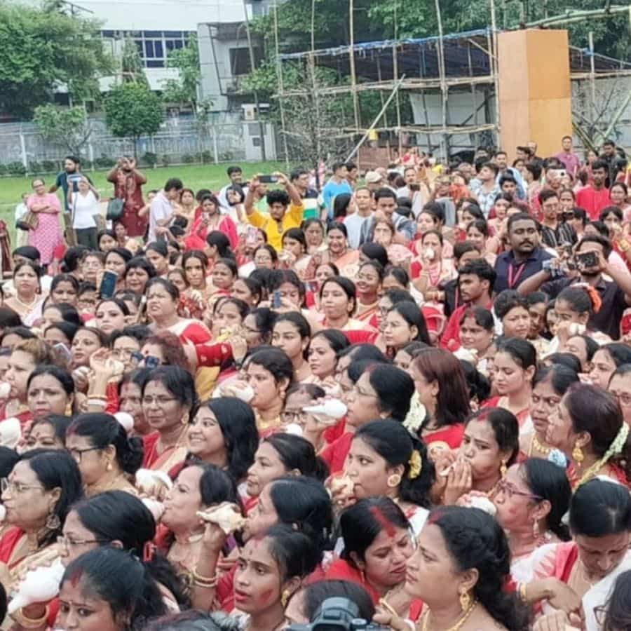 সংগৃহীত চিত্র।