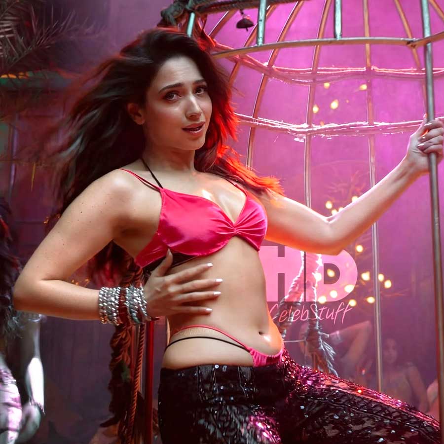 Rus mushukining surati Qizlar külotlariga siyadilar