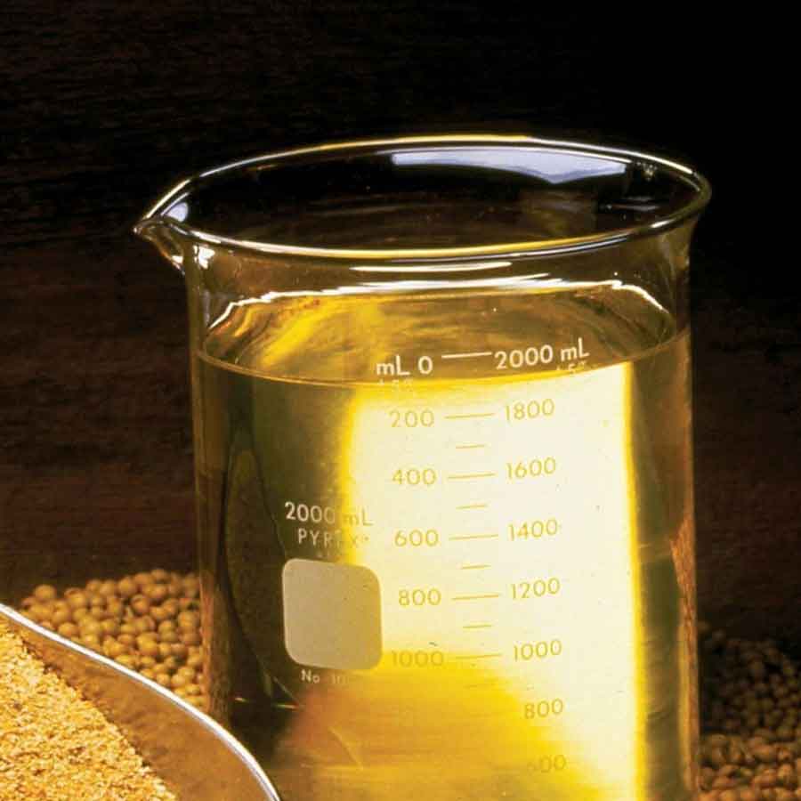 India imports huge soybean oil from Argentina due to scrap of export tax, may price cut in festive season