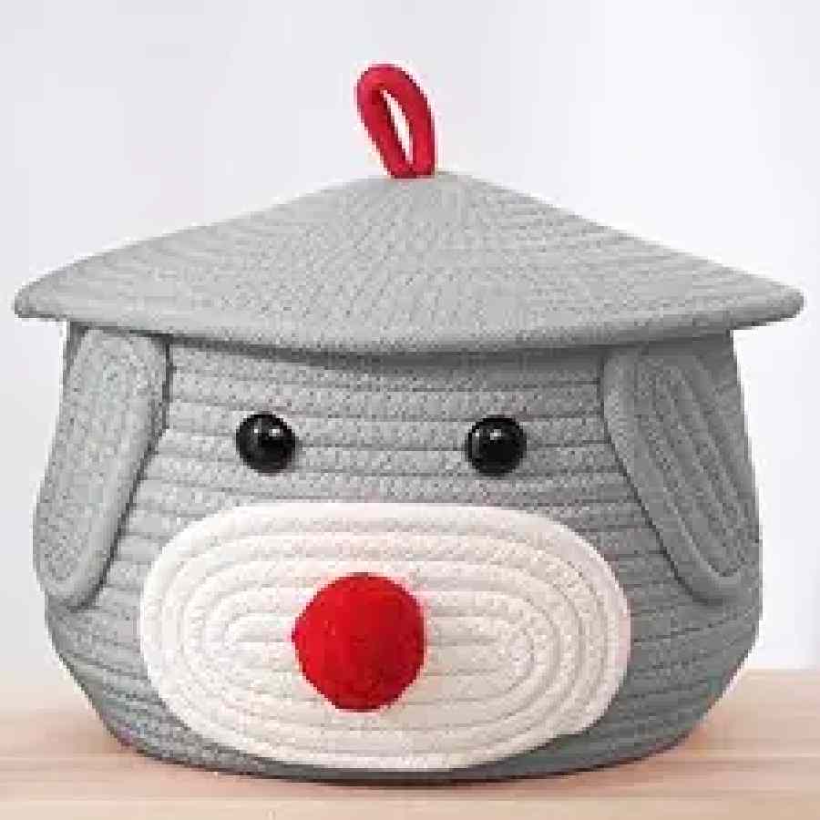 এ রকম বাক্সে টুকিটাকি  জিনিস ভরে রাখুন। ঘর পরিচ্ছন্ন এবং পরিপাটি থাকবে।