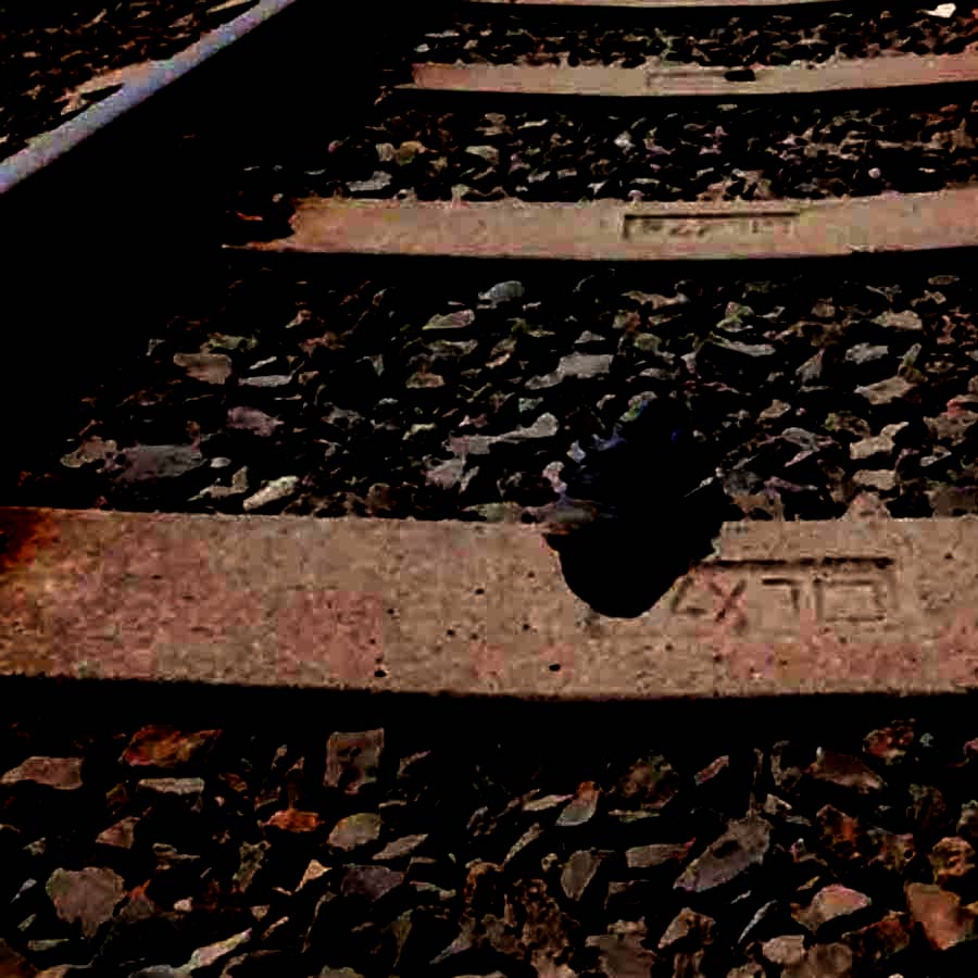 2 died in a train accident in Shyamnagar dgtld