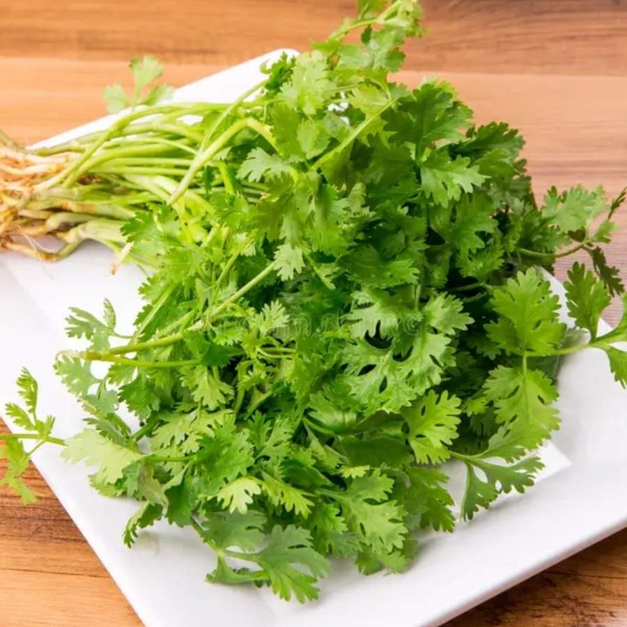 মিনিট ১৫ ভাল করে সেদ্ধ হতে দিন। ঢাকনা খুলে দেখুন ঝোল ফুটছে কি না। ঝোল টেনে মাখা মাখা হলে উপরে ছড়িয়ে দিন ধনেপাতা কুচি। 