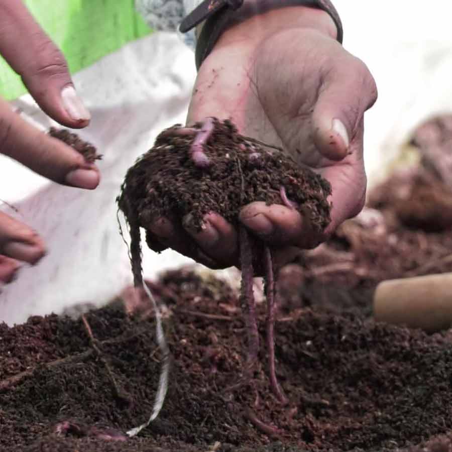 India ink Mutual Recognition Agreement for organic products with Australia, know the benefits 