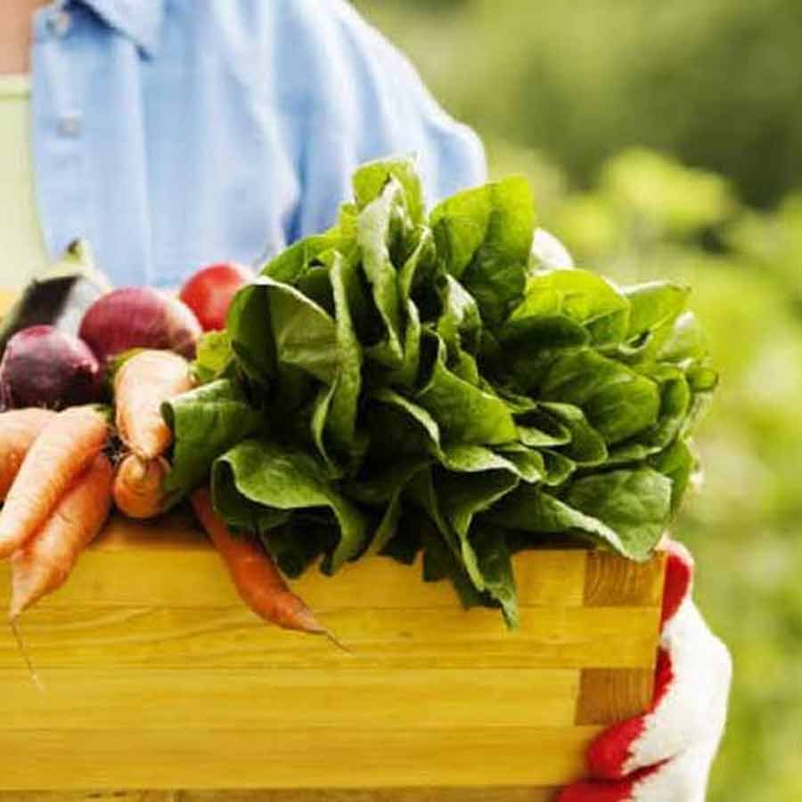 India ink Mutual Recognition Agreement for organic products with Australia, know the benefits 