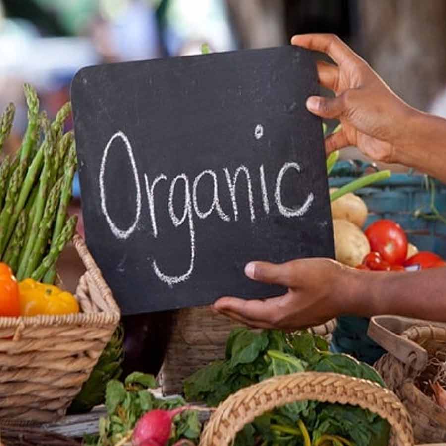 India ink Mutual Recognition Agreement for organic products with Australia, know the benefits 