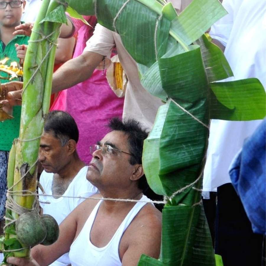 কলাগাছের সঙ্গে বাকি আটটি গাছ এবং দুটো বেলকে অপরাজিতার লতা দিয়ে বেঁধে দেওয়া হয়। তারপর পরানো হয় নতুন শাড়ি। টেনে দেওয়া হয় নতুন বউয়ের মতো ঘোমটা। 